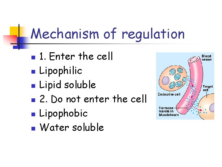 Mechanism of regulation n n n 1. Enter the cell Lipophilic Lipid soluble 2.