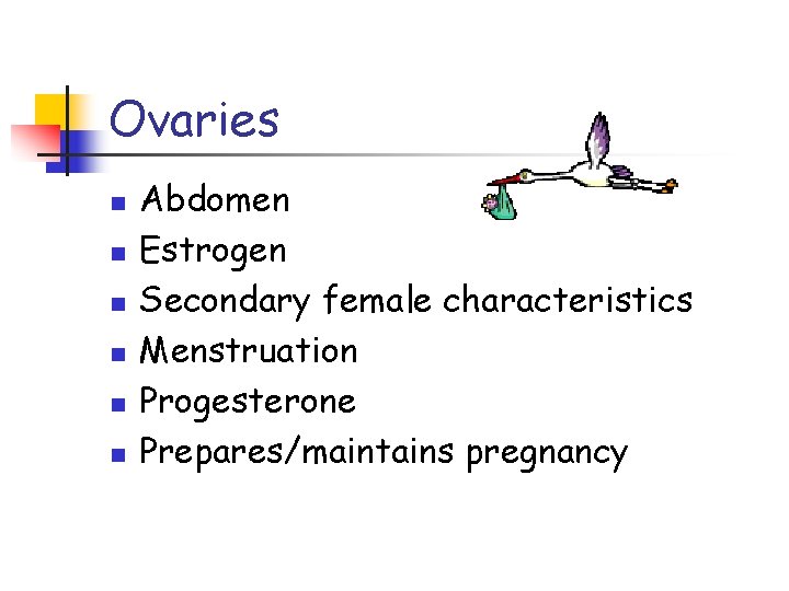 Ovaries n n n Abdomen Estrogen Secondary female characteristics Menstruation Progesterone Prepares/maintains pregnancy 