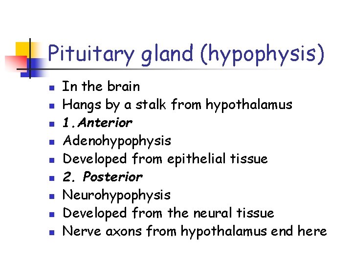 Pituitary gland (hypophysis) n n n n n In the brain Hangs by a