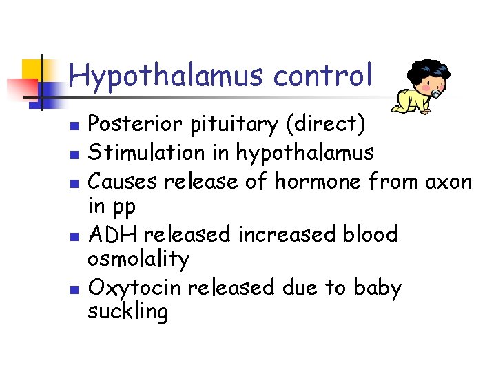 Hypothalamus control n n n Posterior pituitary (direct) Stimulation in hypothalamus Causes release of