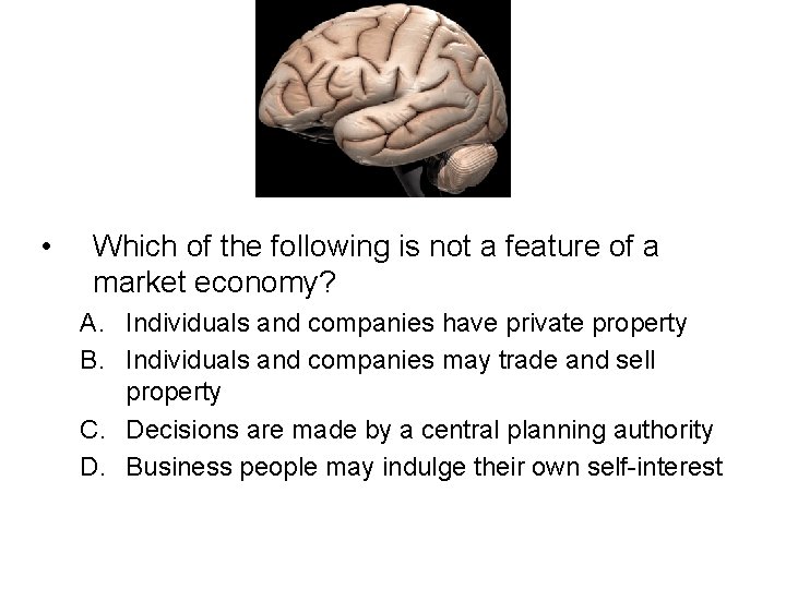  • Which of the following is not a feature of a market economy?