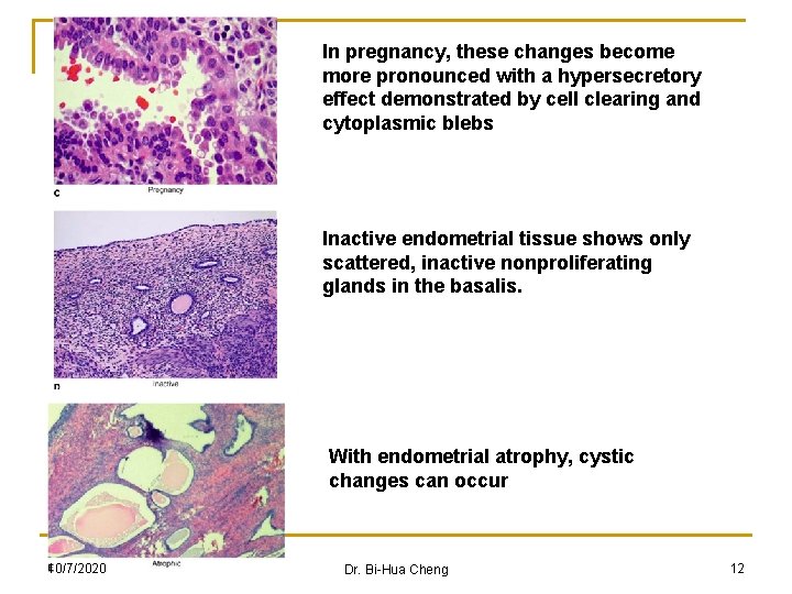 In pregnancy, these changes become more pronounced with a hypersecretory effect demonstrated by cell