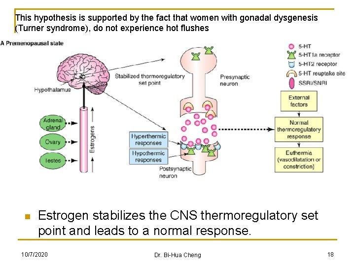 This hypothesis is supported by the fact that women with gonadal dysgenesis (Turner syndrome),