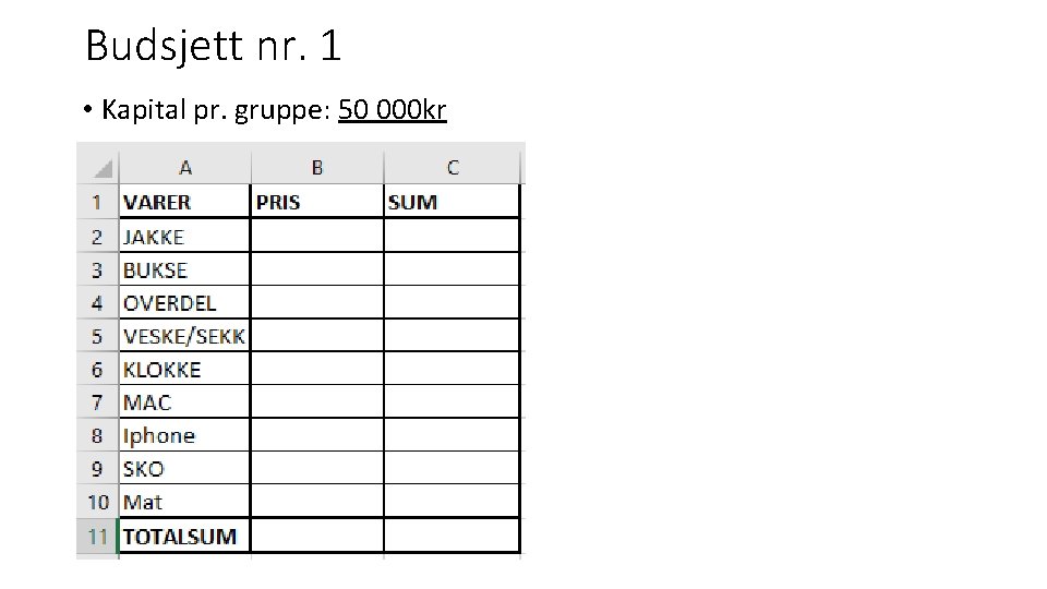 Budsjett nr. 1 • Kapital pr. gruppe: 50 000 kr 