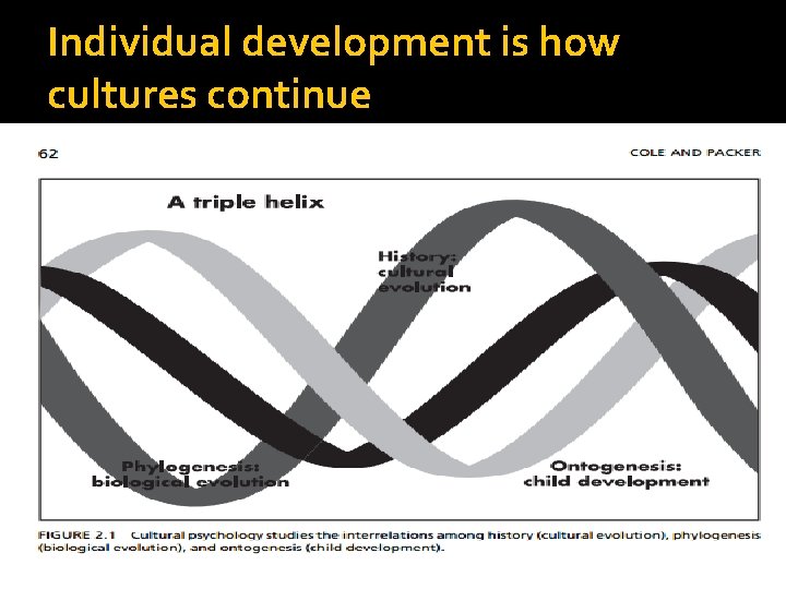 Individual development is how cultures continue 