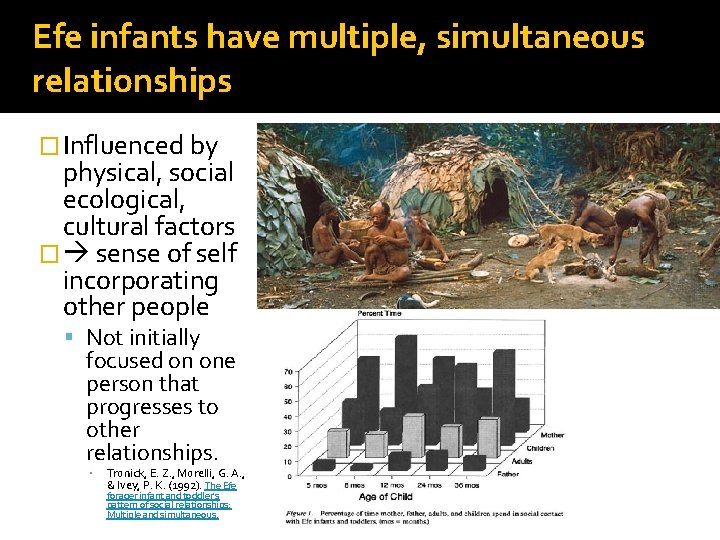 Efe infants have multiple, simultaneous relationships � Influenced by physical, social ecological, cultural factors