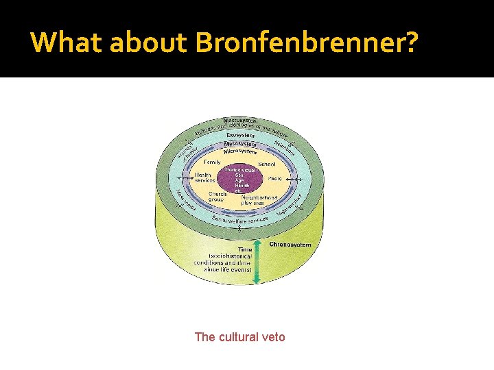 What about Bronfenbrenner? The cultural veto 