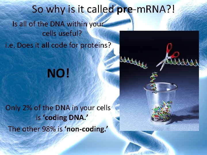 So why is it called pre-m. RNA? ! Is all of the DNA within