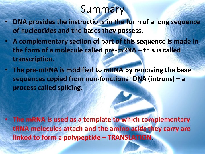 Summary • DNA provides the instructions in the form of a long sequence of Summary • DNA provides the instructions in the form of a long sequence of
