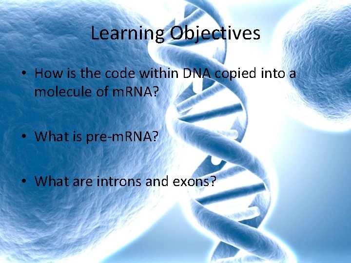 Learning Objectives • How is the code within DNA copied into a molecule of