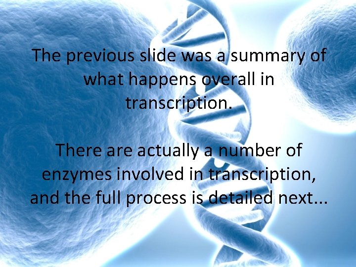 The previous slide was a summary of what happens overall in transcription. There actually The previous slide was a summary of what happens overall in transcription. There actually