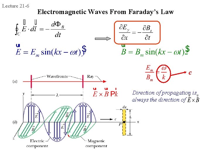 Lecture 21 -6 Electromagnetic Waves From Faraday’s Law c Direction of propagation is always