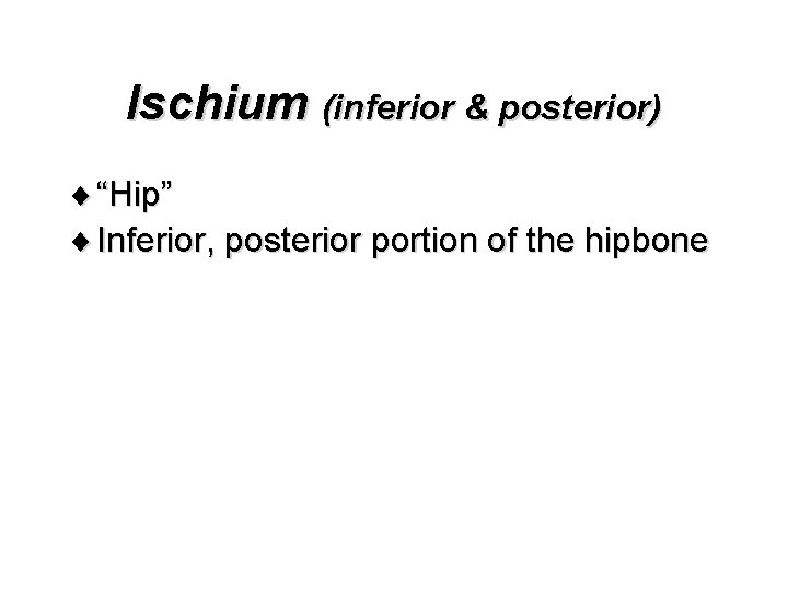 Ischium (inferior & posterior) ¨ “Hip” ¨ Inferior, posterior portion of the hipbone 