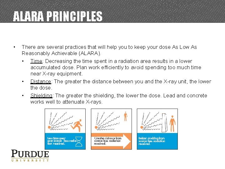 ALARA PRINCIPLES • There are several practices that will help you to keep your