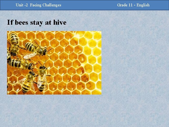 -2 Challenges Facing Challenges Unit -2 Unit Facing If bees stay at hive Grade