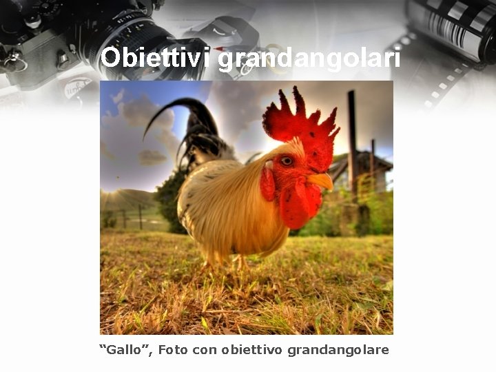 Obiettivi grandangolari “Gallo”, Foto con obiettivo grandangolare 