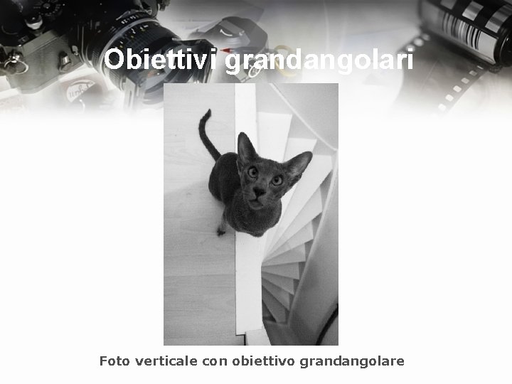 Obiettivi grandangolari Foto verticale con obiettivo grandangolare 