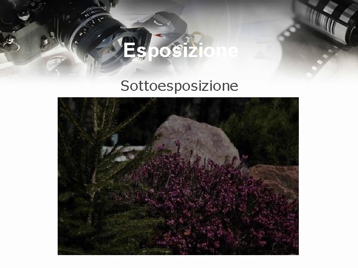 Esposizione Sottoesposizione 