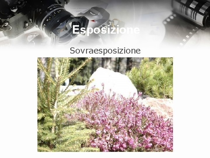 Esposizione Sovraesposizione 