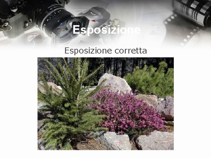 Esposizione corretta 