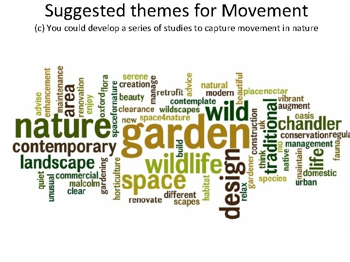 Suggested themes for Movement (c) You could develop a series of studies to capture