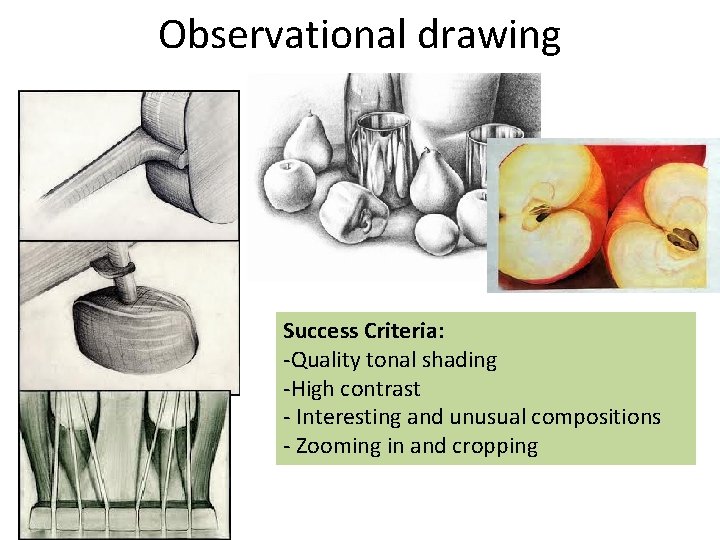 Observational drawing Success Criteria: -Quality tonal shading -High contrast - Interesting and unusual compositions