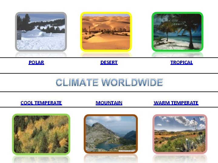 POLAR DESERT TROPICAL CLIMATE WORLDWIDE COOL TEMPERATE MOUNTAIN WARM TEMPERATE 