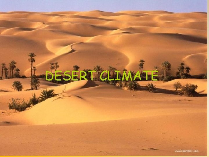 DESERT CLIMATE 