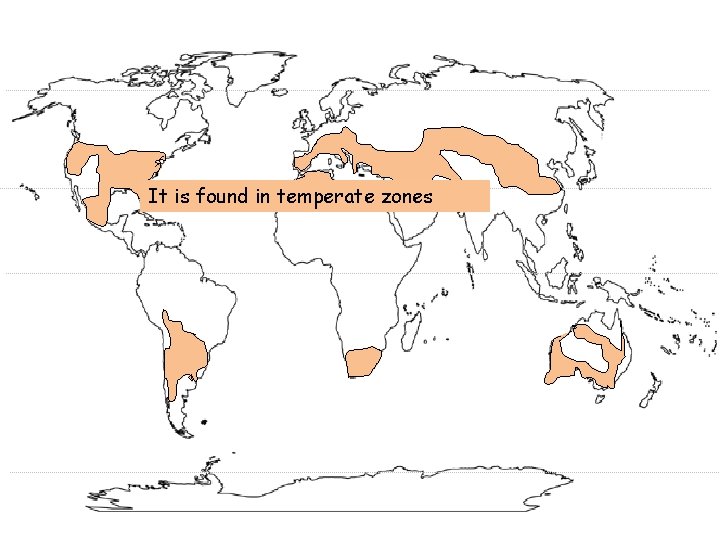 It is found in temperate zones It is found in temperate zones