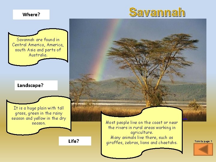 Savannah Where? Savannah are found in Central America, south Asia and parts of Australia.