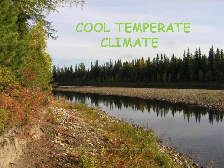 COOL TEMPERATE CLIMATE http: //upload. wikimedia. org/wikipedia/commons/1/19/Urals_forest. jpg 