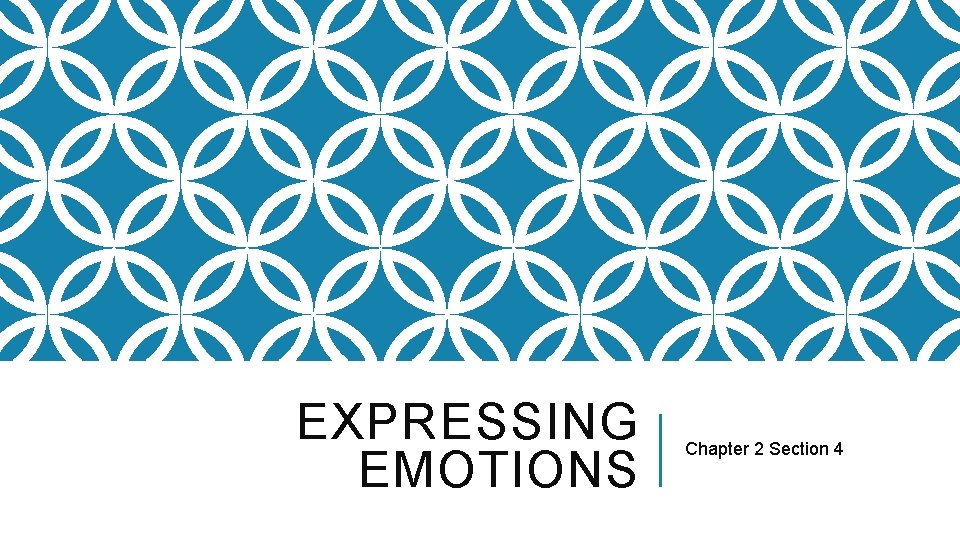 EXPRESSING EMOTIONS Chapter 2 Section 4 