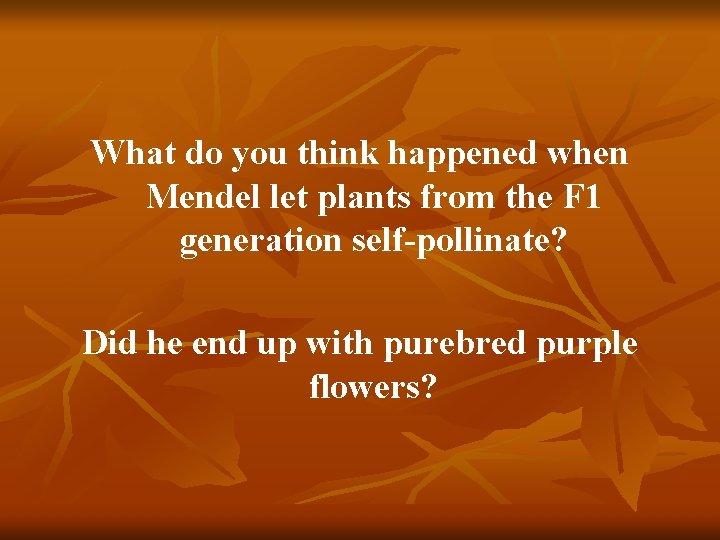 What do you think happened when Mendel let plants from the F 1 generation