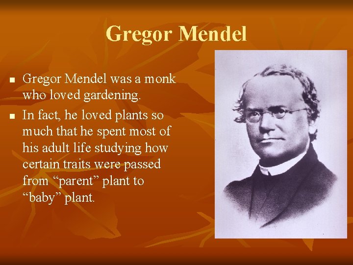 Gregor Mendel n n Gregor Mendel was a monk who loved gardening. In fact,