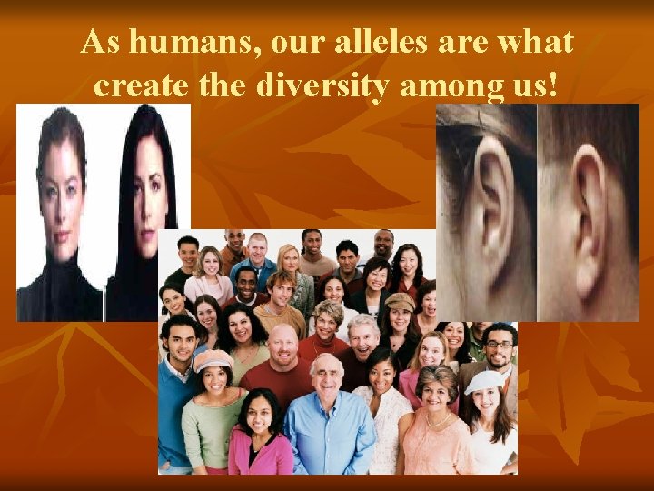 As humans, our alleles are what create the diversity among us! 