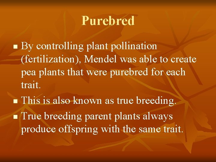 Purebred By controlling plant pollination (fertilization), Mendel was able to create pea plants that