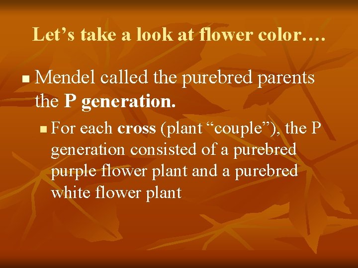 Let’s take a look at flower color…. n Mendel called the purebred parents the