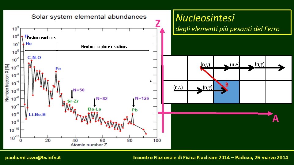 Z Nucleosintesi degli elementi più pesanti del Ferro Fusion reactions Neutron capture reactions (n,