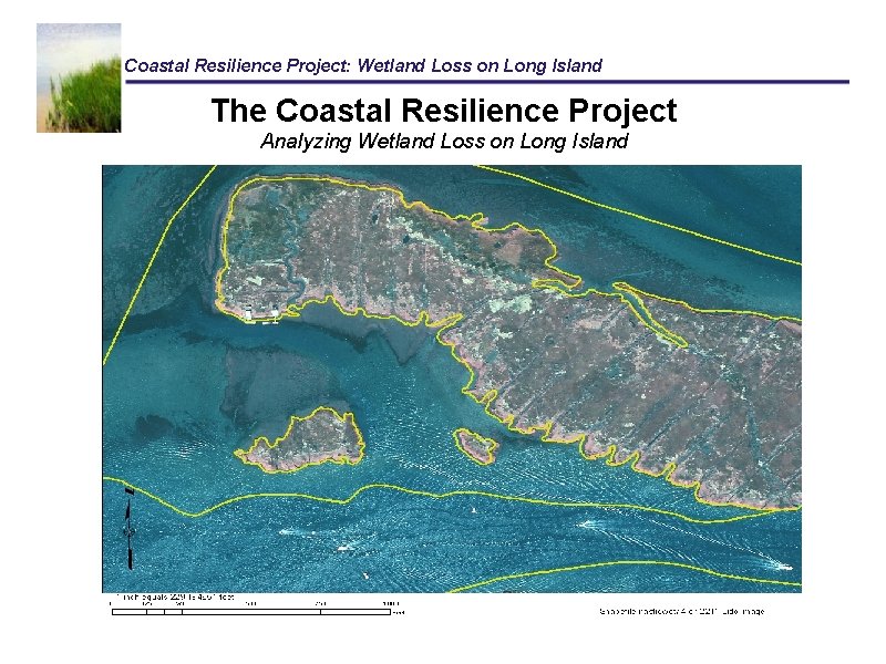 Picture of Coastal Resilience Project Wetland Loss on Long Island
