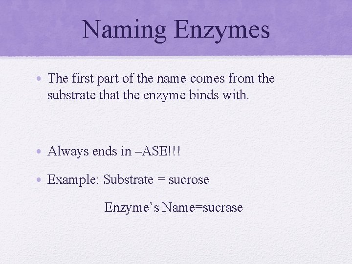 Naming Enzymes • The first part of the name comes from the substrate that