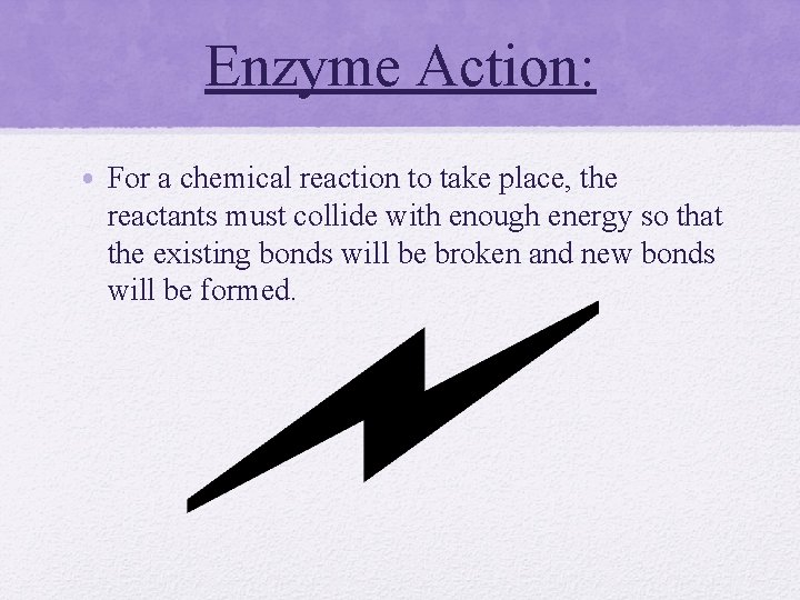 Enzyme Action: • For a chemical reaction to take place, the reactants must collide