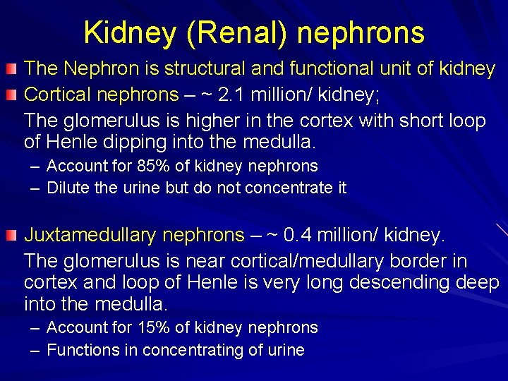 Kidney (Renal) nephrons The Nephron is structural and functional unit of kidney Cortical nephrons