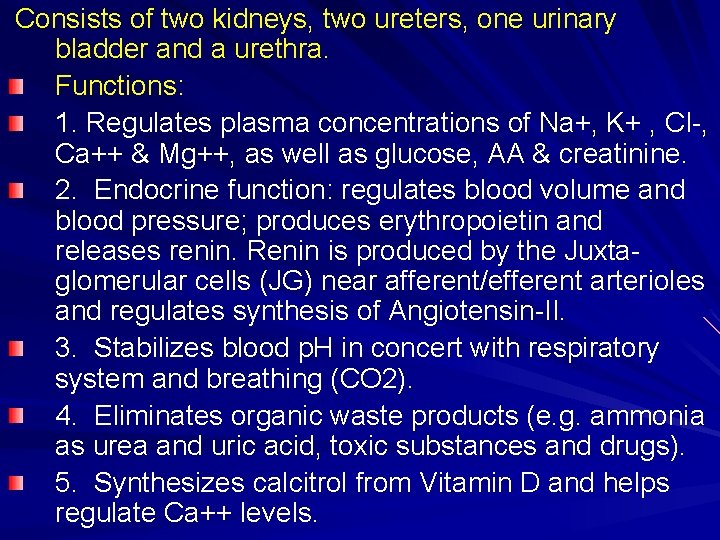 Consists of two kidneys, two ureters, one urinary bladder and a urethra. Functions: 1.