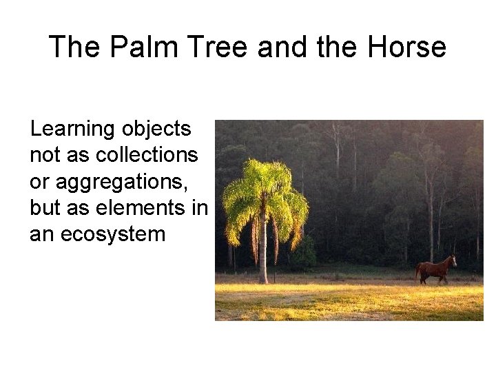 The Palm Tree and the Horse Learning objects not as collections or aggregations, but