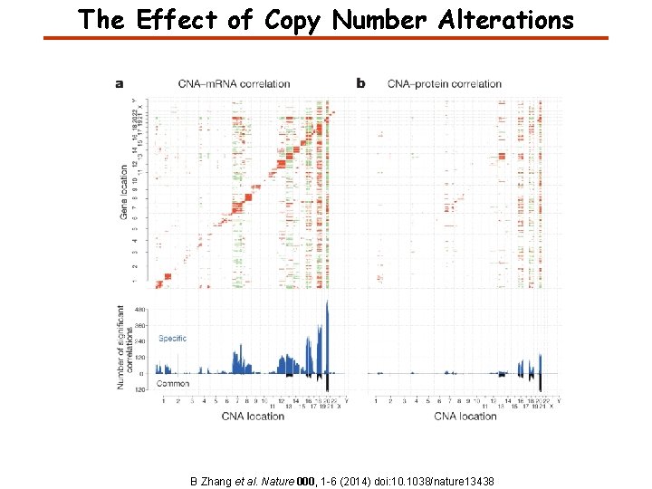 The Effect of Copy Number Alterations B Zhang et al. Nature 000, 1 -6 The Effect of Copy Number Alterations B Zhang et al. Nature 000, 1 -6