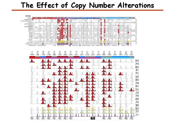 The Effect of Copy Number Alterations The Effect of Copy Number Alterations