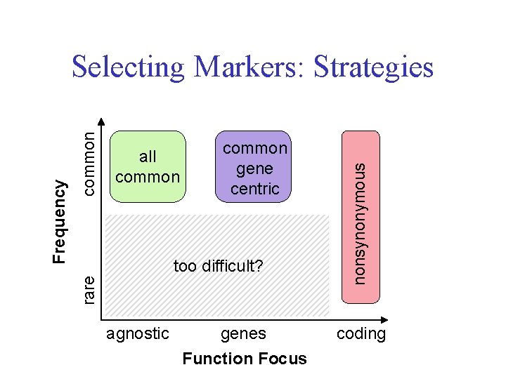 common gene centric too difficult? agnostic genes Function Focus nonsynonymous common all common rare