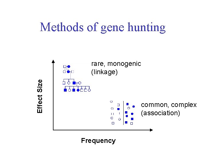 Methods of gene hunting Effect Size rare, monogenic (linkage) common, complex (association) Frequency 