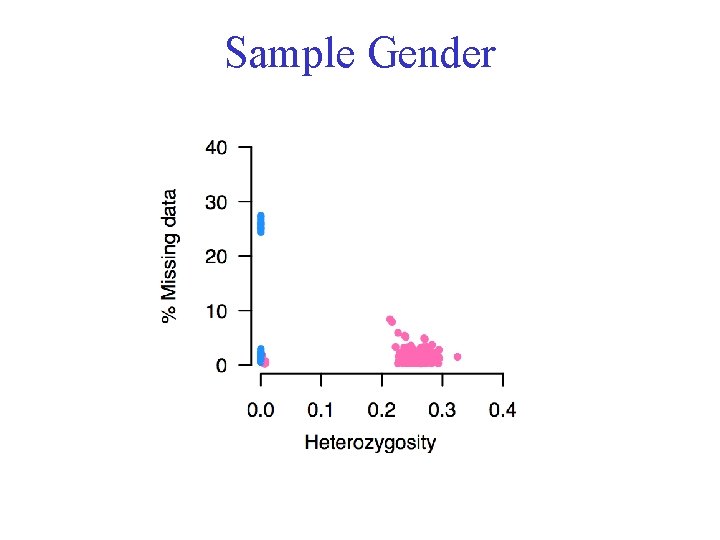 Sample Gender 