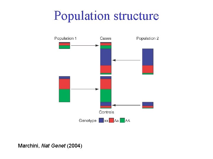 Population structure Marchini, Nat Genet (2004) 